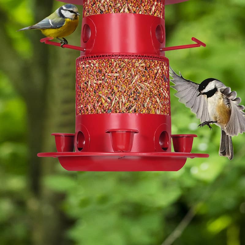 Javlergo Hanging Wild Bird Feeders for Outdoors, Squirrel Proof, Large Capacity Outside Bird Feeder