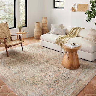 Alexander Home Bella Distressed Oriental Area Rug