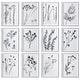 preview thumbnail 1 of 4, Uttermost Contemporary Botanicals Framed Prints (Set of 12)