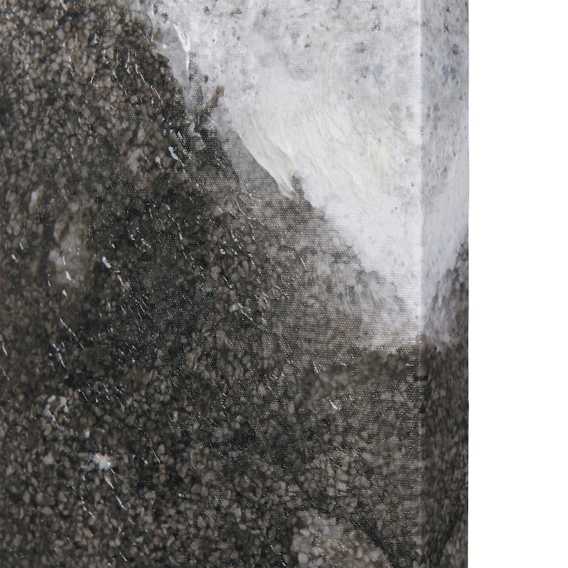 Mudslide IV (28 x 42 ) Canvas Art Print