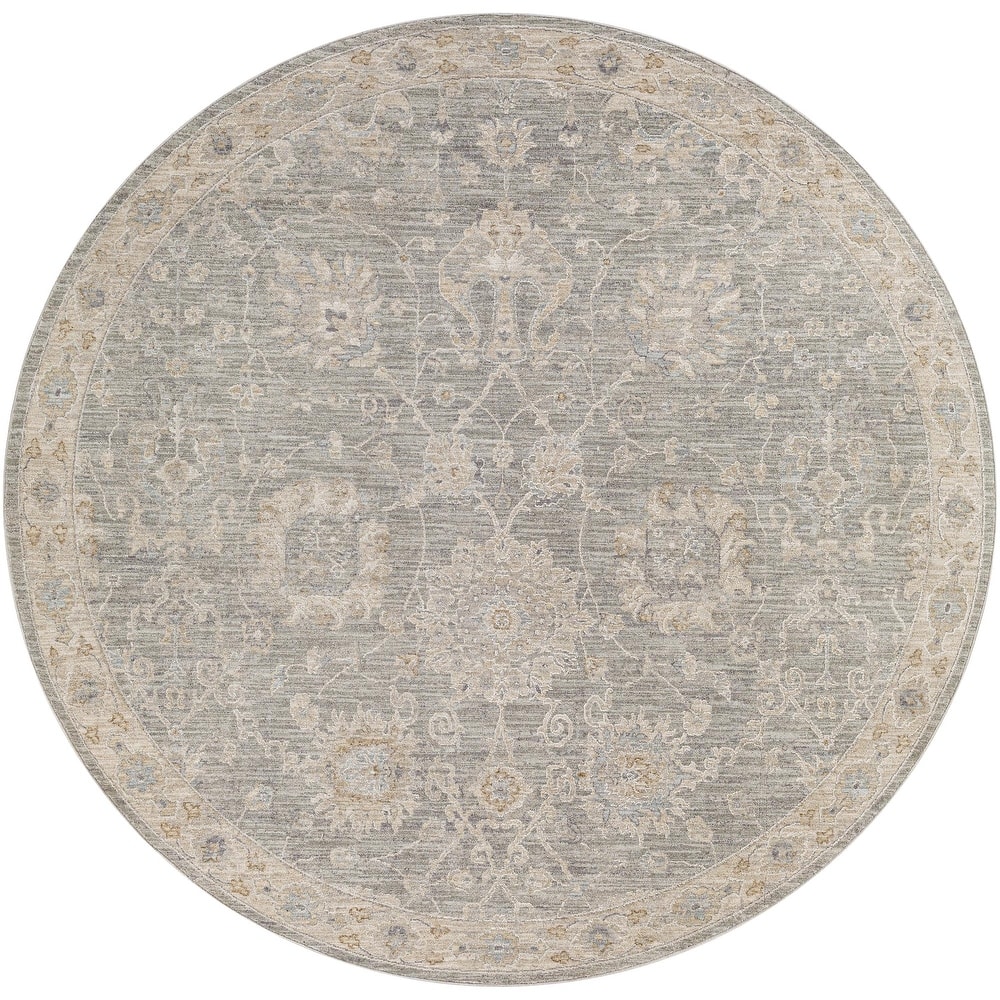 Livabliss Avant Garde Updated Traditional Medallion Area Rug