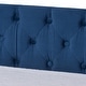 preview thumbnail 12 of 23, Raphael Modern Velvet Fabric Upholstered Daybed with Trundle