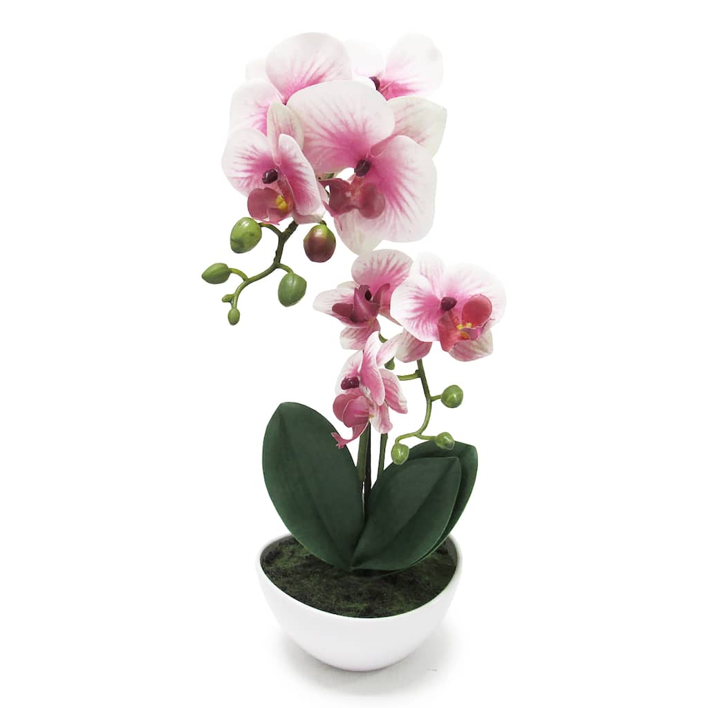 Artificial Phalaenopsis Orchid Flower Arrangement in Pot 16in