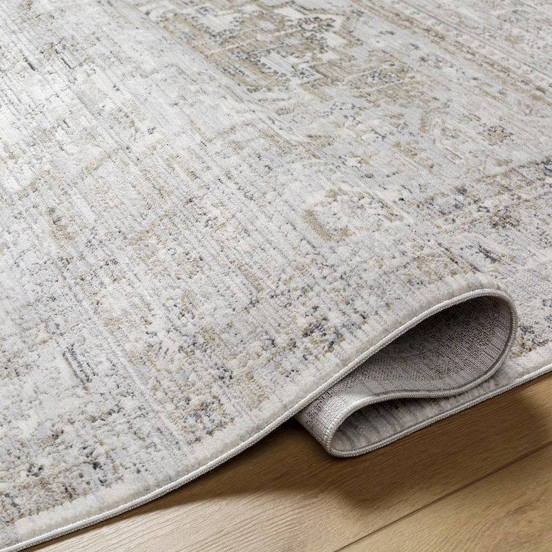 Livabliss Edmonton Traditional Border Area Rug
