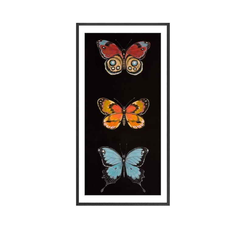 Butterfly Trio II Framed Print Wall Art by Norman Wyatt Jr.