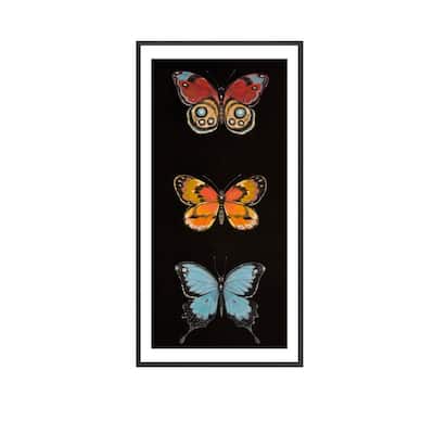 Butterfly Trio II Framed Print Wall Art by Norman Wyatt Jr.