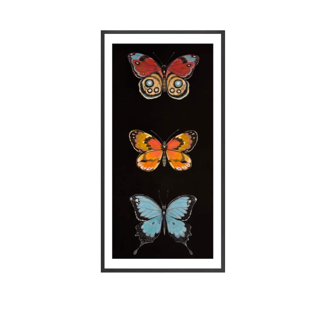 Butterfly Trio II Framed Print Wall Art by Norman Wyatt Jr.
