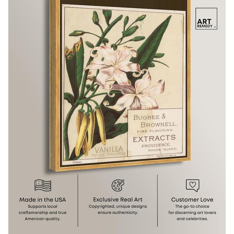 Vanilla Planifolia Canvas by Art Remedy