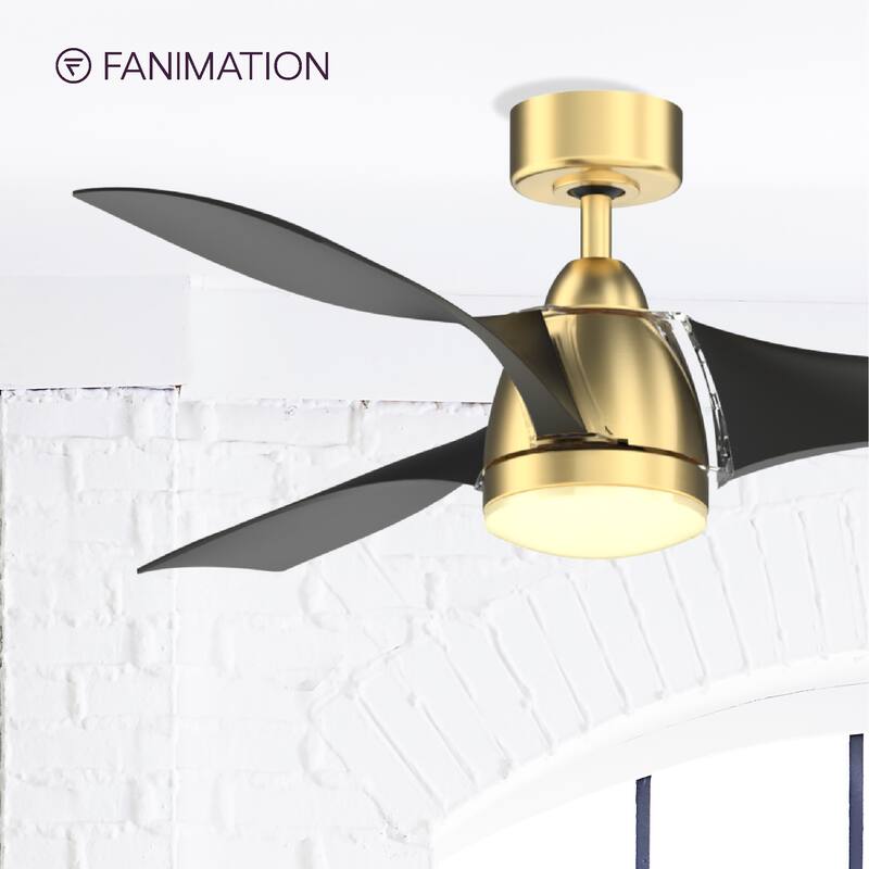 Fanimation Klear 56 inch Indoor/Outdoor Smart Ceiling Fan with LED CCT Select Light Kit and Remote - Brushed Satin Brass & Black