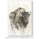 preview thumbnail 2 of 8, American Buffalo I -Premium Gallery Wrapped Canvas