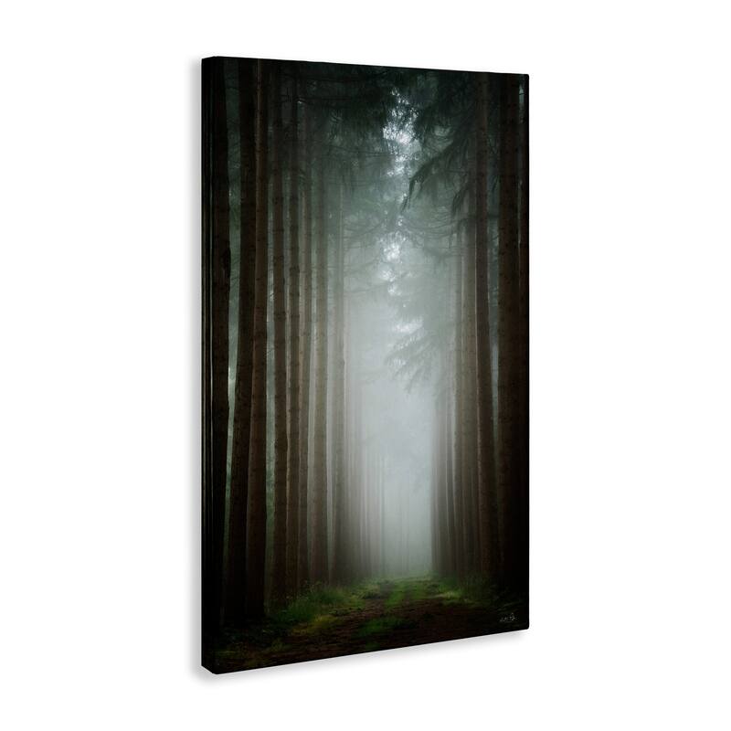 Stupell Moonlight Through Dark Forest Canvas Wall Art Design By Martin Podt