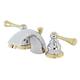 Option Polished Chrome/Polished Brass
