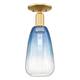 Option Satin Gold / Sapphire Blue