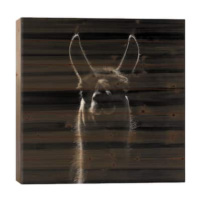 Llama In Black & White Print On Wood by Lukas Holas - Multi-Color