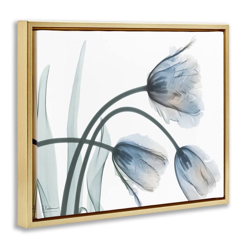 Stupell Trendy Mod Tulips Framed Floater Canvas Wall Art Design By Albert Koetsier