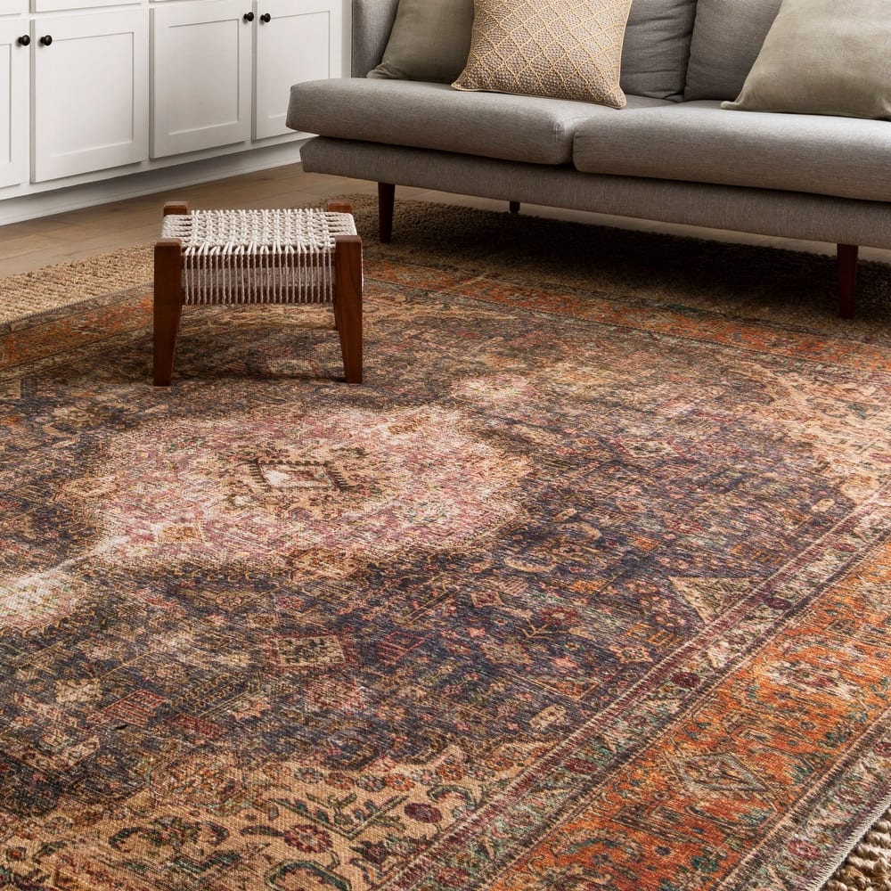 Alexander Home Tremezzina Printed Distressed Medallion Boho Rug