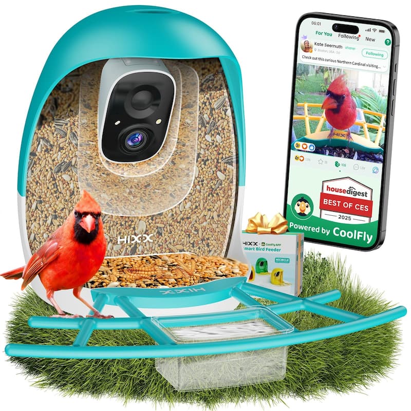 Smart Bird Feeder with Camera 2K HD Live - Blue