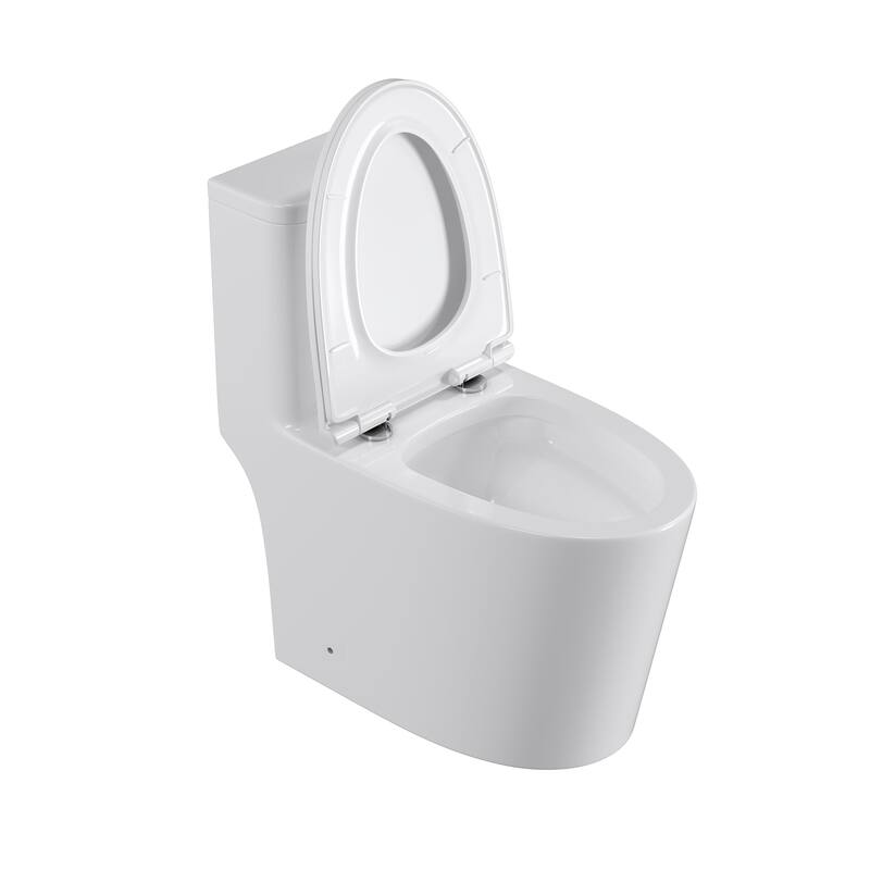 One-Piece 1.1GPF/1.6 GPF Dual Flush Elongated Toilet