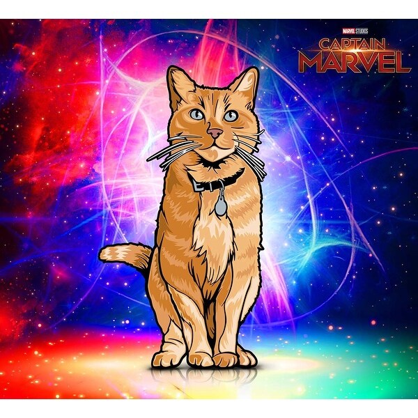 goose the cat flocked