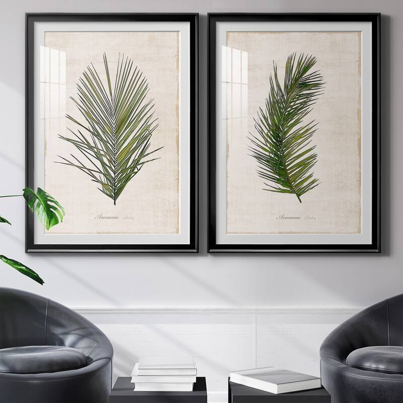 Palm Botanical I Premium Framed Print - Ready to Hang