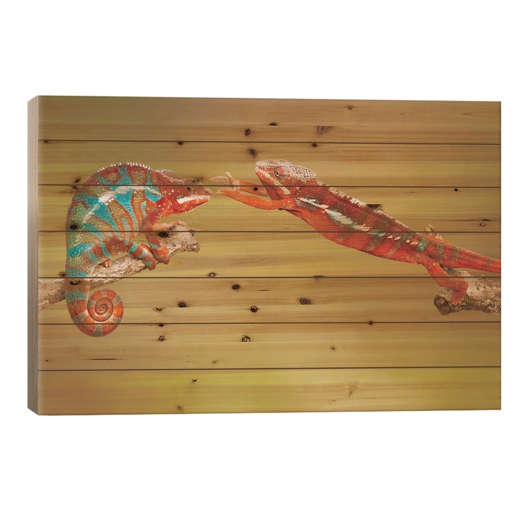 Panther Chameleons Print On Wood by Milan Zygmunt - Multi-Color