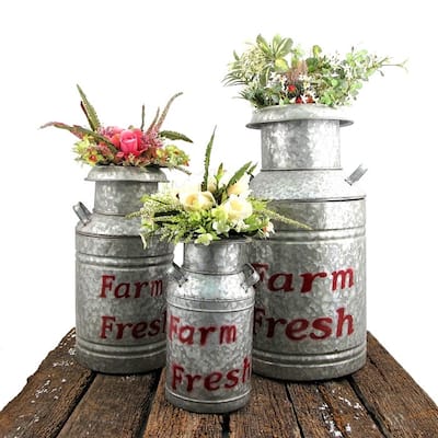 Set of 3 Old Style Galvanized Milk Jug Planters
