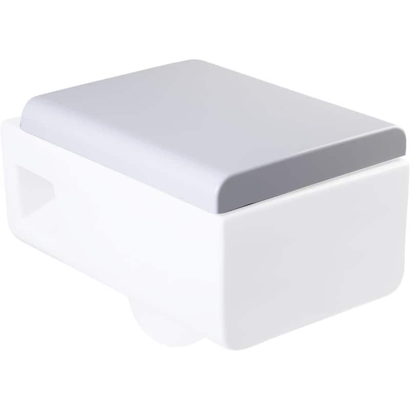 Eago Elongated Closed-Front Toilet Seat with Soft Close Hinges - White