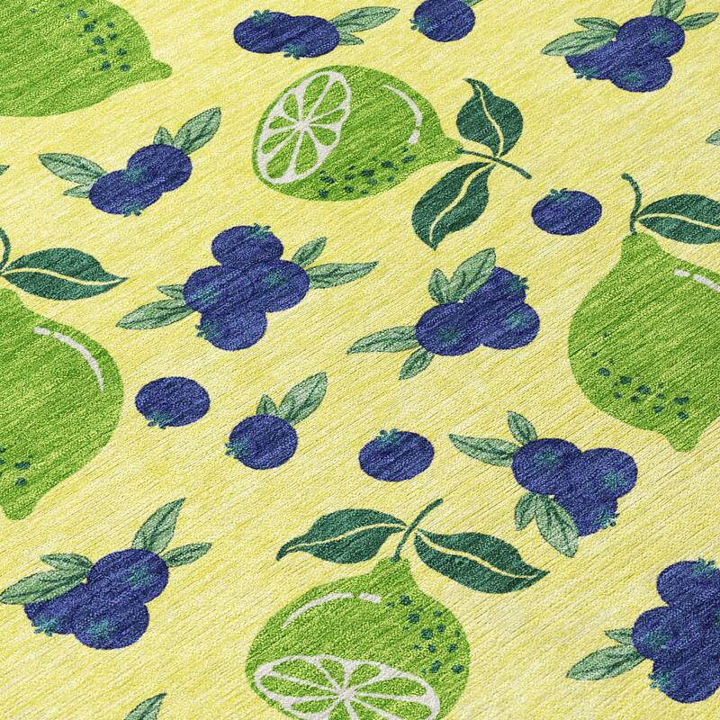 Machine Washable Indoor/ Outdoor Citrus Berry Chantille Rug