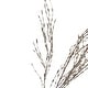 preview thumbnail 2 of 1, Weeping Willow Artificial Christmas Spray - 47" - Silver