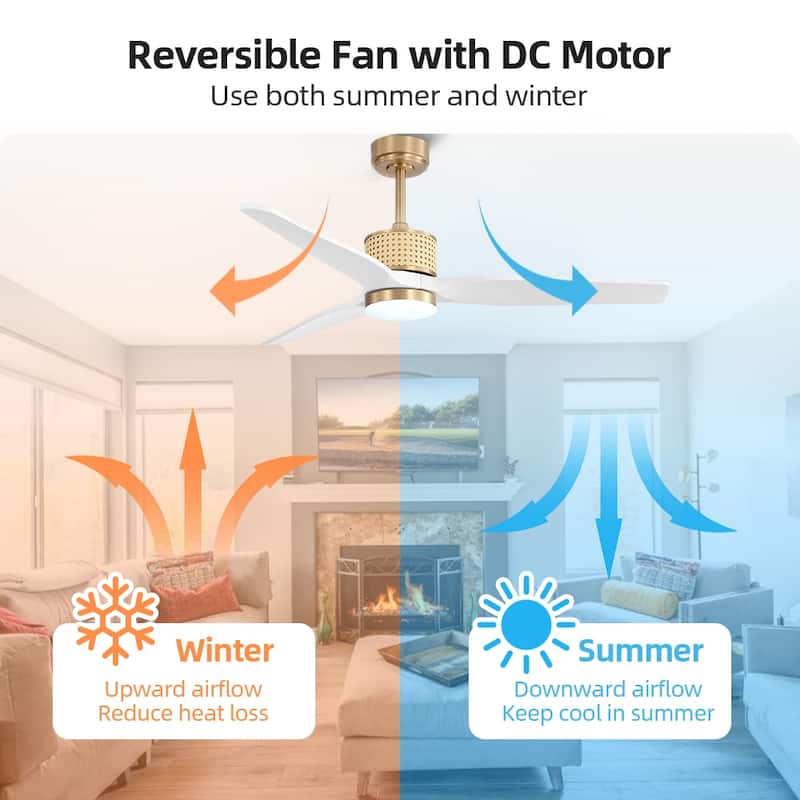 MLiAN 52 In. 3 Solid Wood Indoor Ceiling Fan with Light Kit - 52"