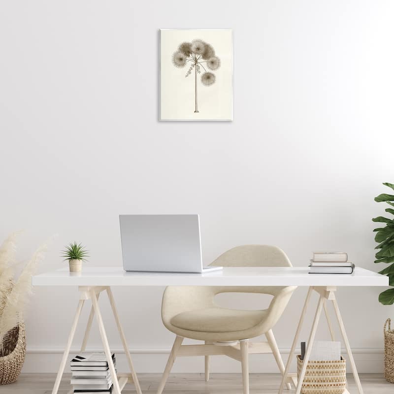 Stupell Vintage Study of Palm Tree Wall Plaque Art Design By Phillipa Katz