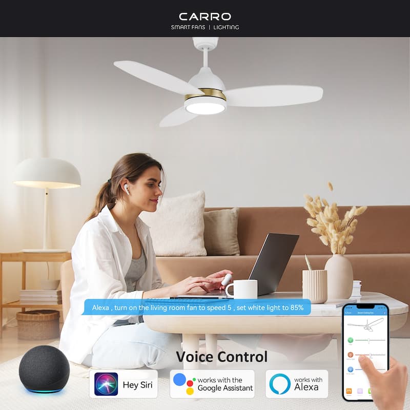 Quest 48-inch Indoor/Outdoor Smart Ceiling Fan, Dimmable LED Light