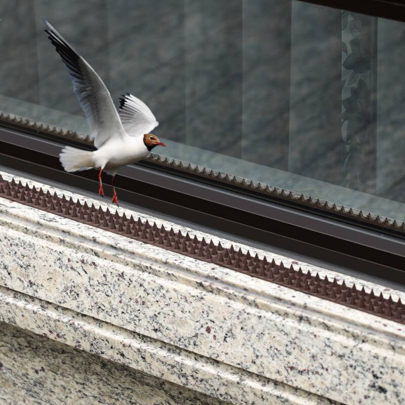 Plastic Repellent Wall Defender Fence Spikes for Birds, 10 Pack