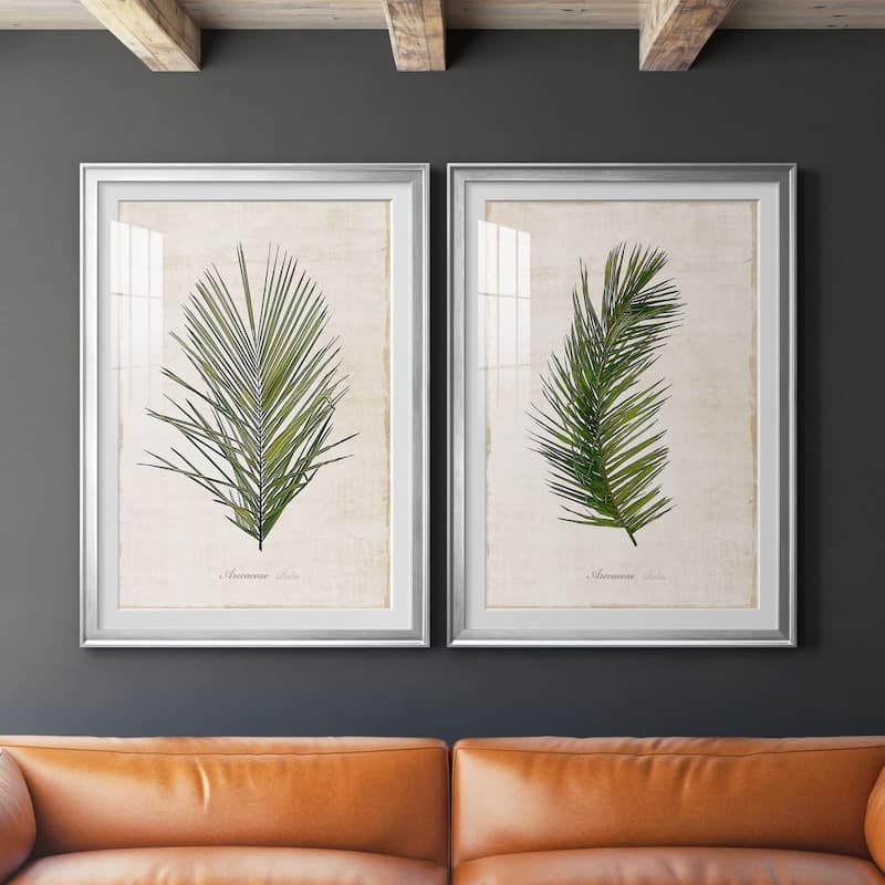 Palm Botanical I Premium Framed Print - Ready to Hang