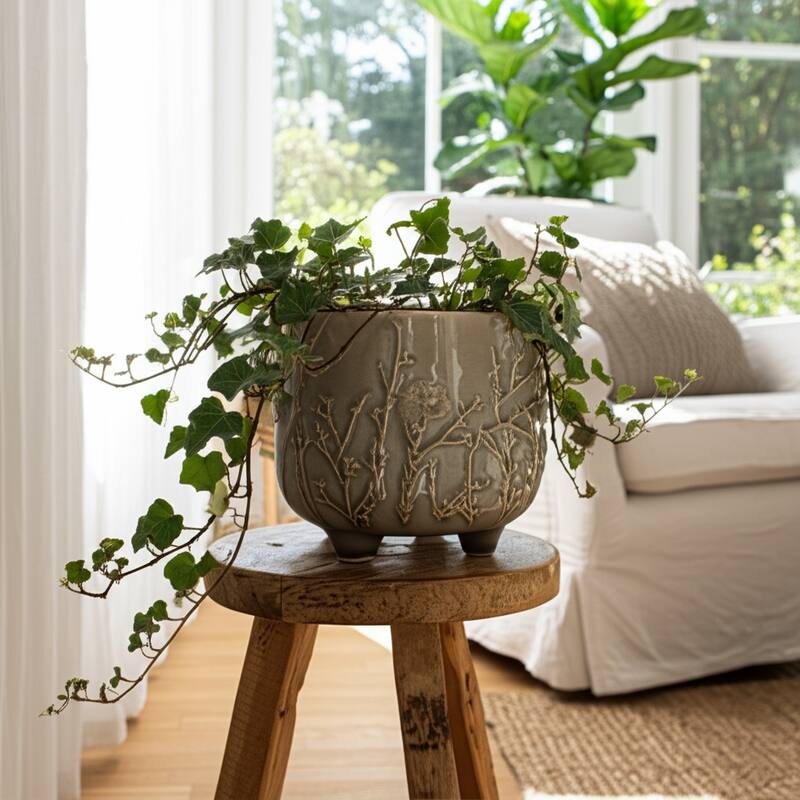 Ceramic Stoneware Planter with Raised Botanical Texture Footed Base