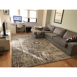 Safavieh Evoke Deb Vintage Boho Medallion Distressed Rug