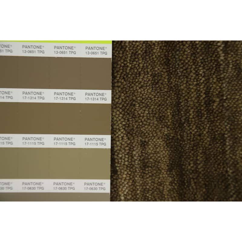 Hand Knotted Oriental 100% Wool Carpet Tribal Animal Pictorial Brown Gabbeh Area Rug - 12' 0'' X 11' 9''