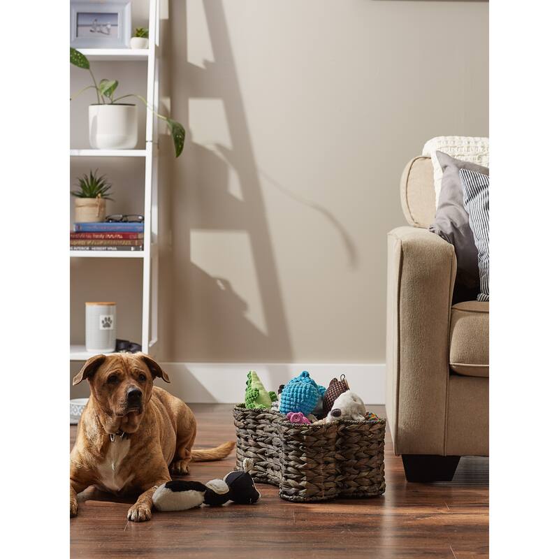 Bone Dry White Wash Hyacinth Bone Pet Basket Large 24x15x9