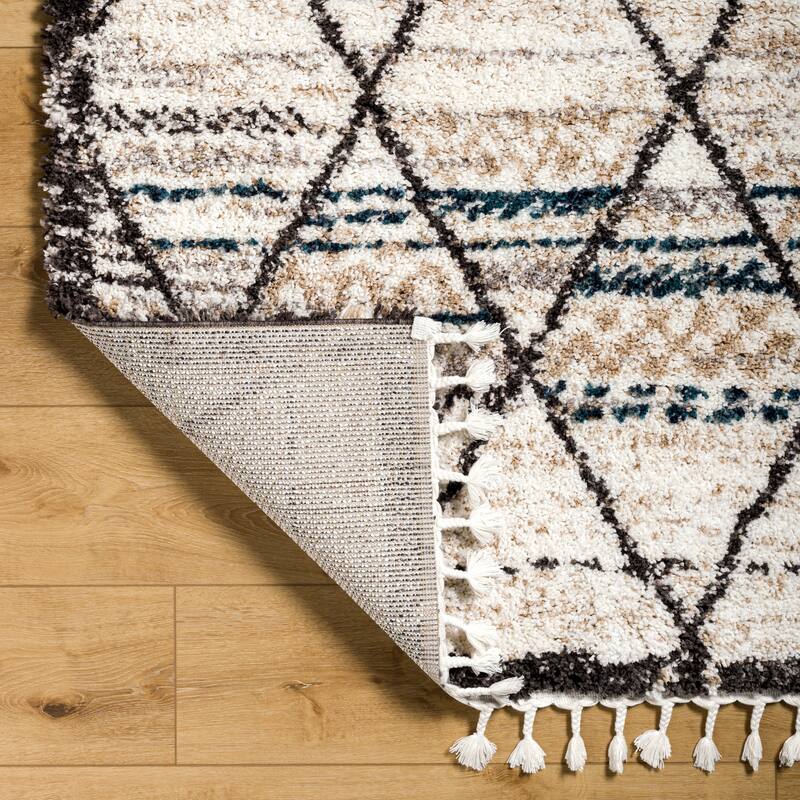 Shelby Bohemian & Eclectic Area Rug