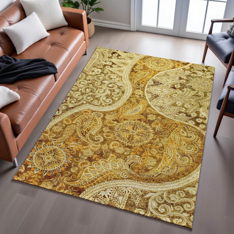 Premium Washable Super Soft Modern Paisley Mayfield Rug