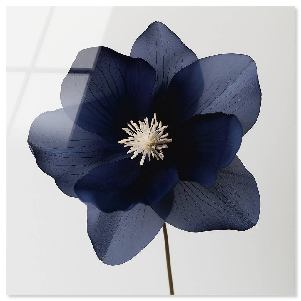 Night Dal II Acrylic by Art Remedy, Ready to Hang