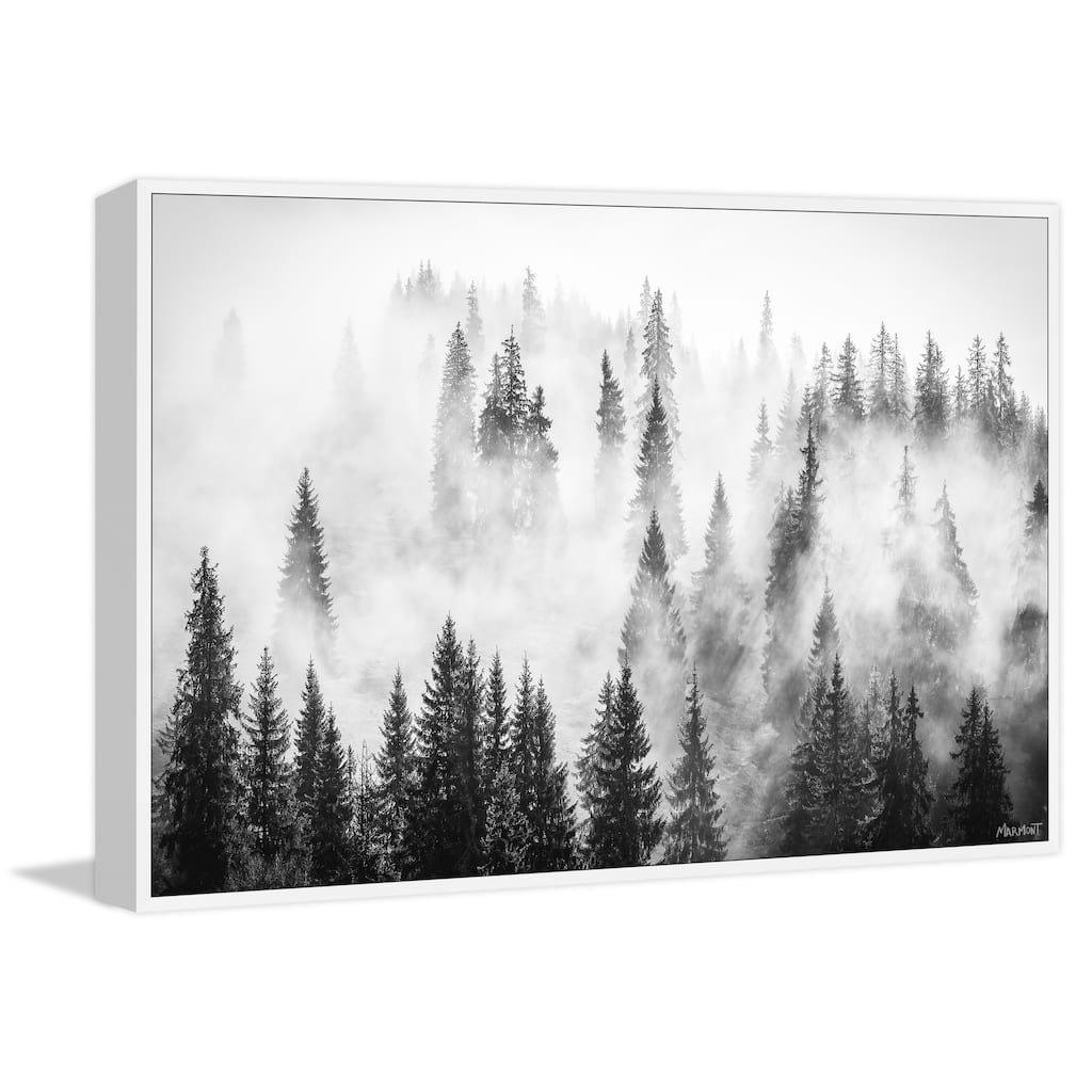 Lungs of the World Floater Framed Print on Canvas