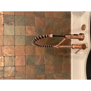 Shop Brienza Antique Copper Residential Spring-coil ...