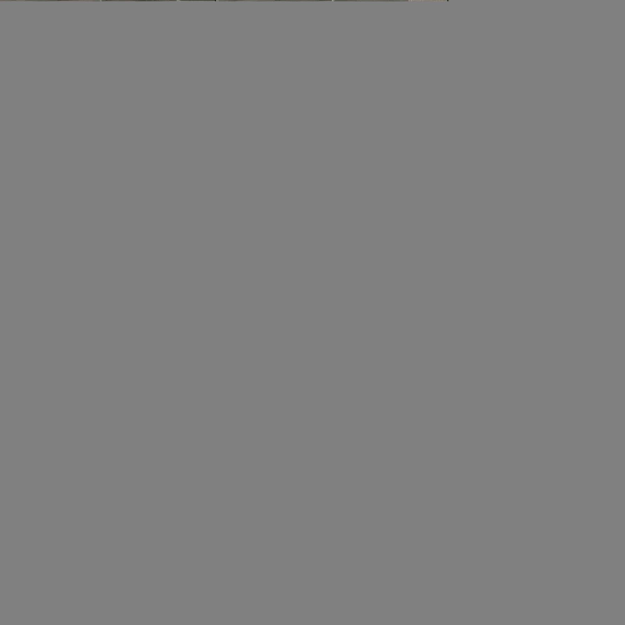 Option Grayscale