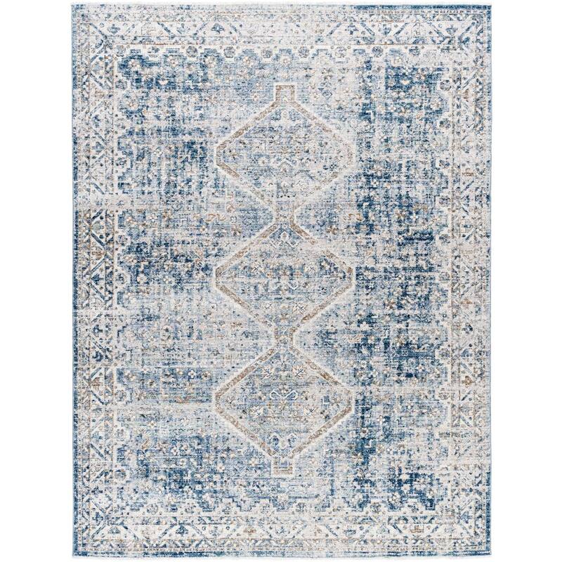 Ingle Traditional Medallion Area Rug