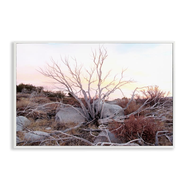 Stupell Rocky Foothills Terrain Framed Giclee Art Design By Gemma Bardot - 24 x 16 - White