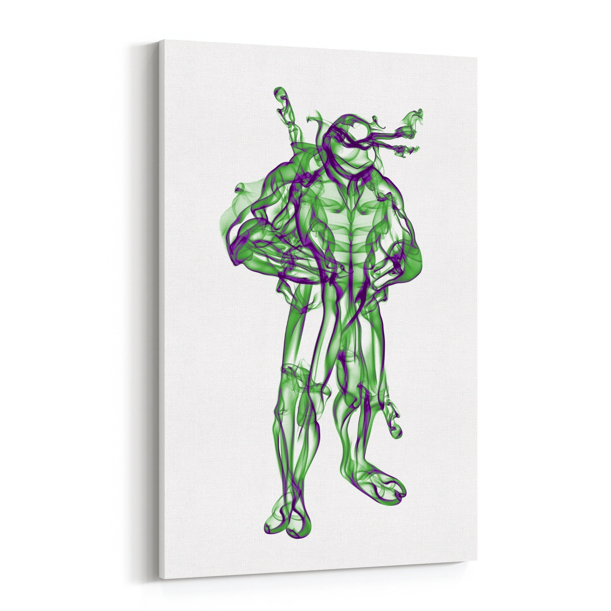 Ninja Turtles Smoke Tv Movies Turtle Canvas Wall Art Print Overstock 31462219