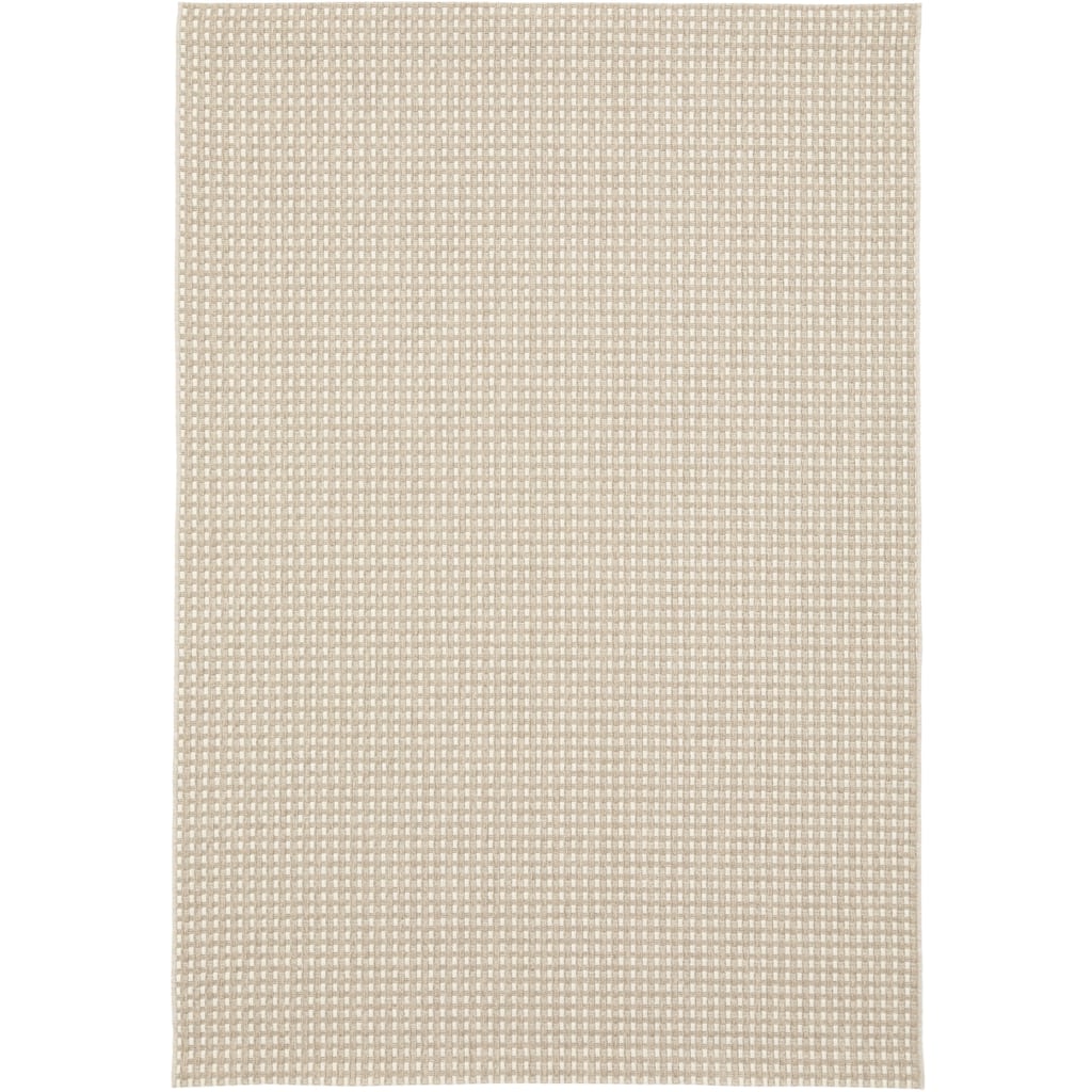 Eduarda Checkered Indoor/Outdoor Area Rug