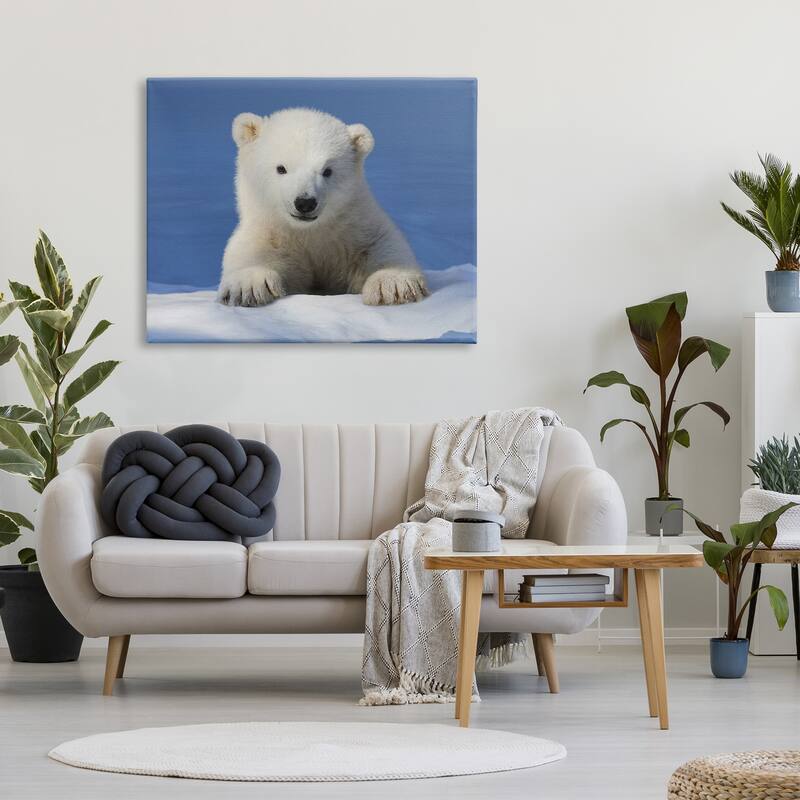 Stupell Baby Polar Bear Peeking Canvas Wall Art Design by © Shane Lamb