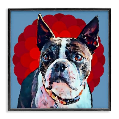 Stupell Boston Terrier Dog Portrait over Geometric Curved Pattern Framed Wall Art,12x12